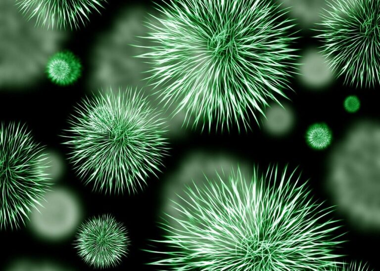 bacteria-pathogen-infection-426997-e1671335081630-min